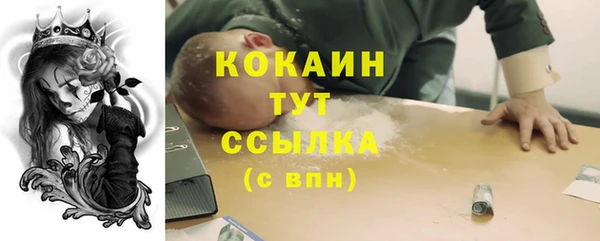 ГАЛЛЮЦИНОГЕННЫЕ ГРИБЫ Абаза