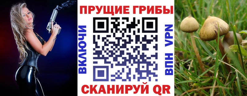 Псилоцибиновые грибы Psilocybe Удомля